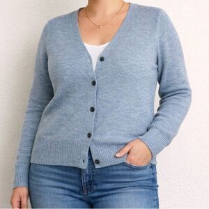 Gap 100% Merino Wool Boyfriend Cardigan Button Sweater Large Normcore Blue Gray